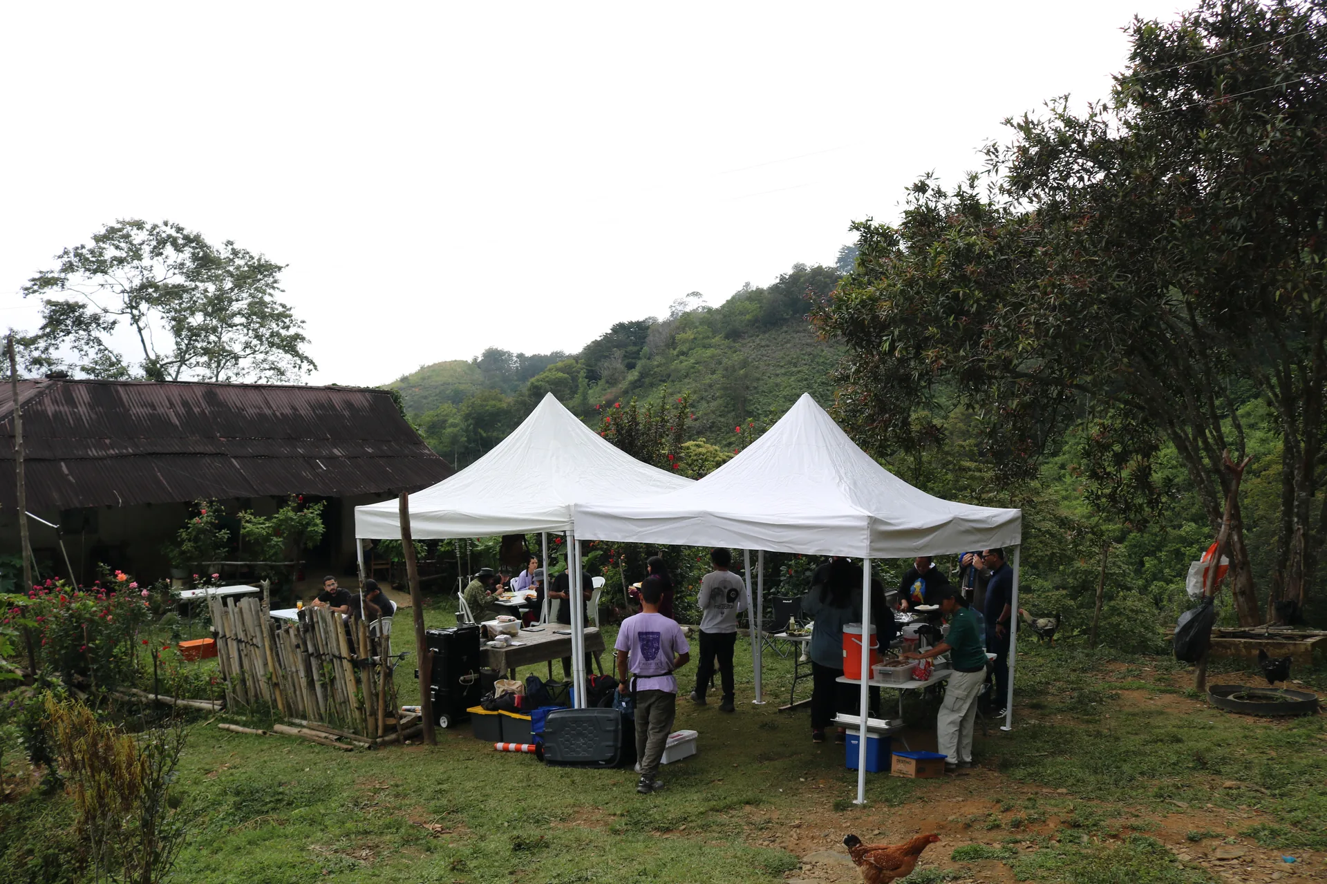 Locación natural cine Caribe